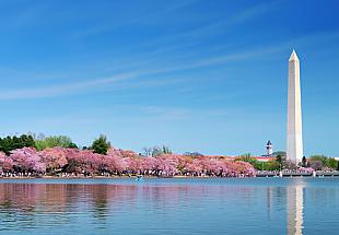 Photo of the Washington Monument