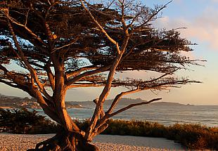 Photo of Carmel Beach